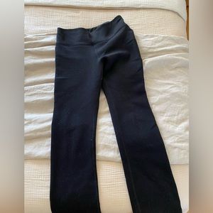 Athleta altitude pant in polartec power stretch